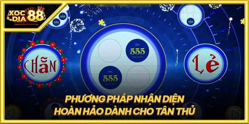Cách Xóc Đĩa bệt siêu hiệu quả dành cho người chơi mới 3 Phương pháp về cách nhận diện Xóc Đĩa bệt